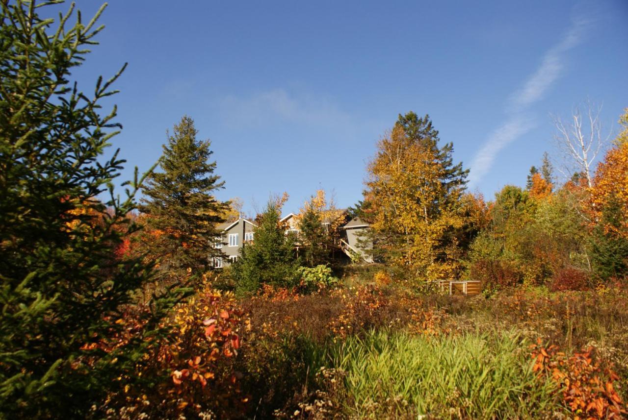 Top Of Algonquin Bed And Breakfast Mattawa Exterior foto
