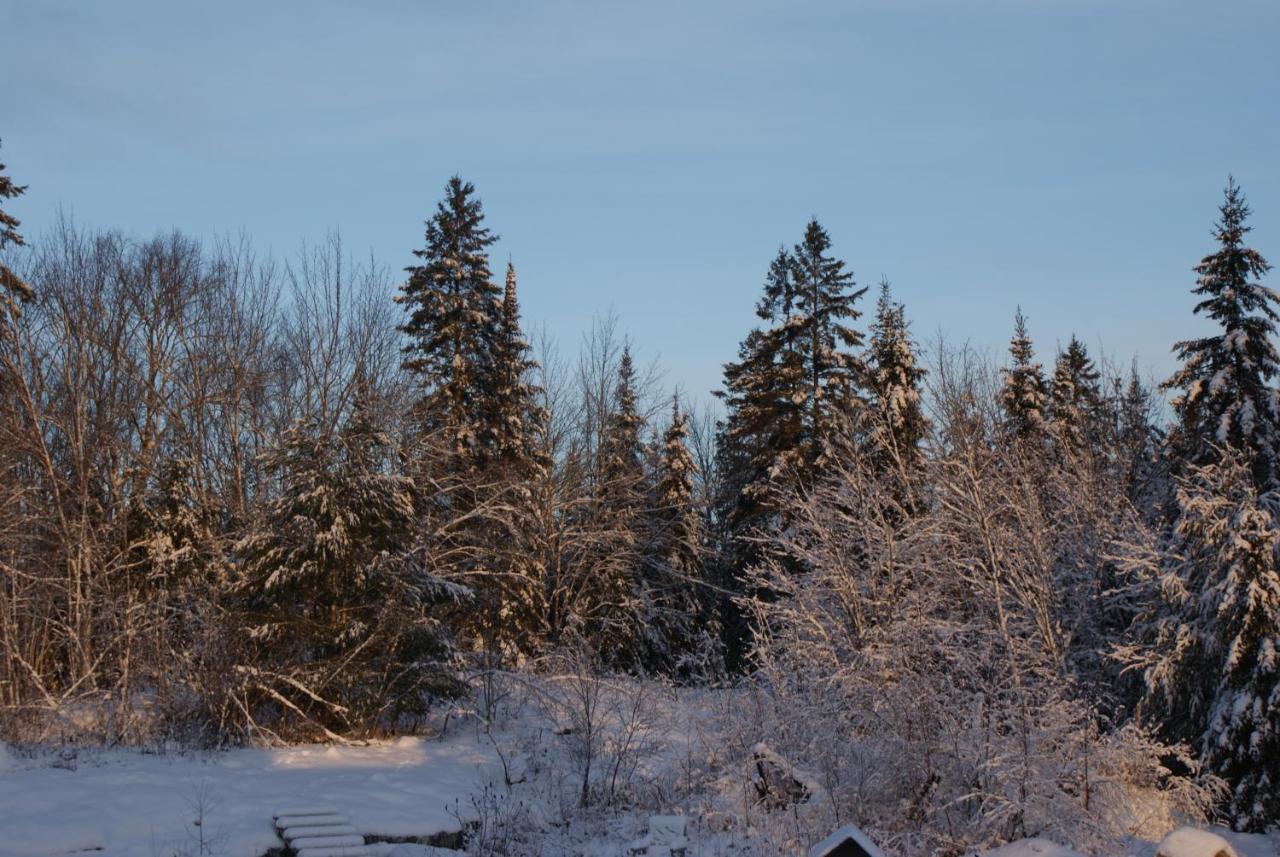 Top Of Algonquin Bed And Breakfast Mattawa Exterior foto